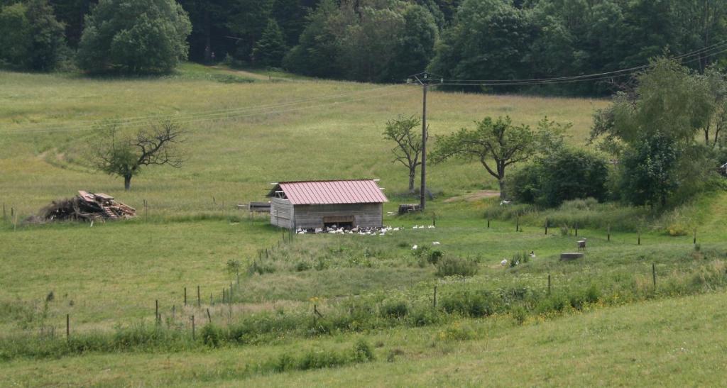 Gites Du Kreuzweg Le Hohwald Eksteriør bilde