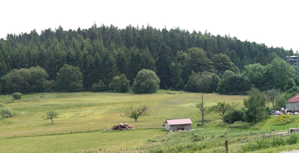 Gites Du Kreuzweg Le Hohwald Eksteriør bilde